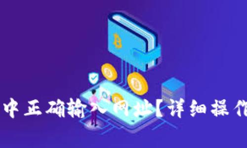 如何在TPWallet中正确输入网址？详细操作指南与注意事项