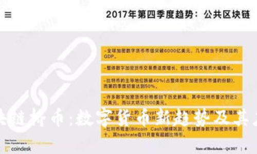 揭秘区块链桥币：数字货币新趋势及其应用前景