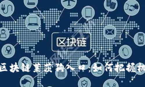 最新百度区块链莱茨狗入口：如何把握机遇与趋势