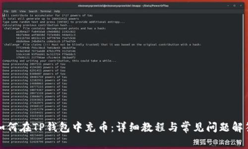 如何在TP钱包中充币：详细教程与常见问题解答