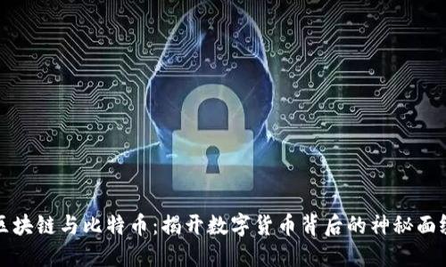 区块链与比特币：揭开数字货币背后的神秘面纱