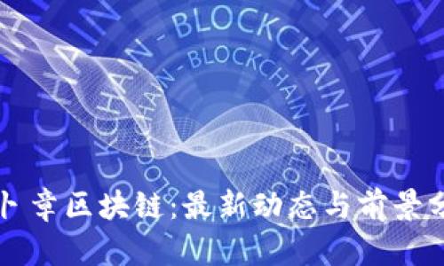 萝卜章区块链：最新动态与前景分析
