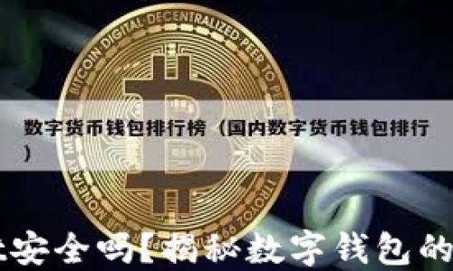 
钱放在TPWallet安全吗？揭秘数字钱包的安全性与实用性