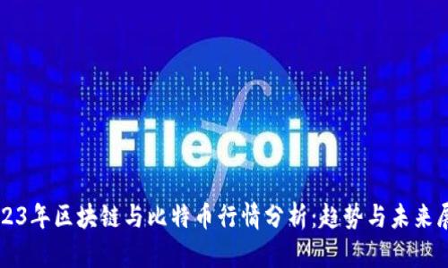 2023年区块链与比特币行情分析：趋势与未来展望