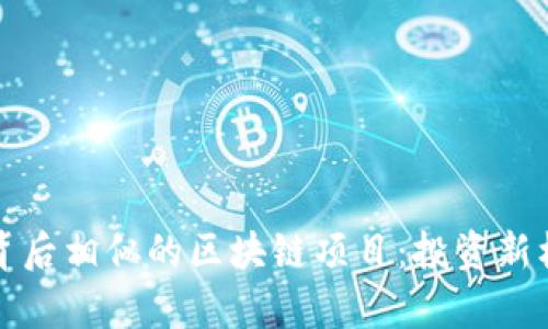 探索币浪和其背后相似的区块链项目：投资新机遇与风险分析