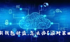 刚创建的TP新钱包被盗，怎么办？应对策略与预防