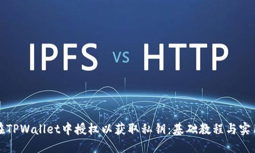 如何在TPWallet中授权以获取私钥：基础教程与实用技巧