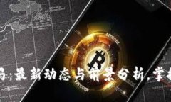 区块链斑马：最新动态与前景分析，掌握行业趋