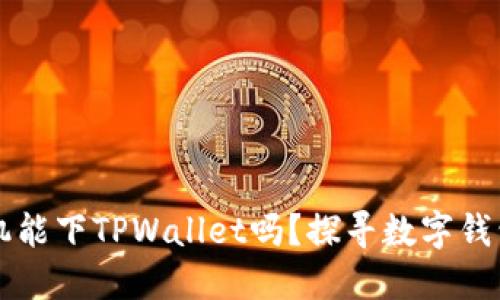 苹果手机能下TPWallet吗？探寻数字钱包的未来