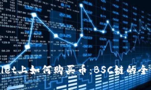 在TPWallet上如何购买币：BSC链的全方位指南