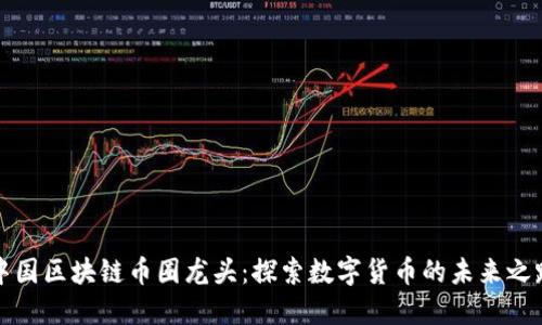 中国区块链币圈龙头：探索数字货币的未来之路