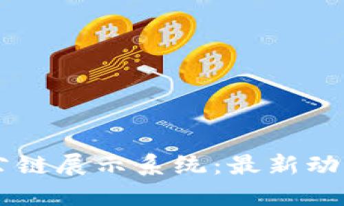 区块链国金公链展示系统：最新动态与未来展望