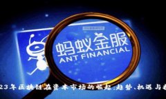 2023年区块链在资本市场的崛起：趋势、机遇与挑