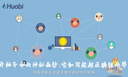 揭开柚子币的神秘面纱：它如何超越区块链的界限？
