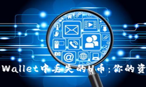 如何处理TPWallet中丢失的U币：你的资产安全指南