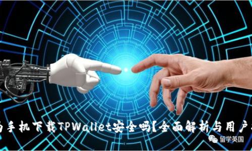 华为手机下载TPWallet安全吗？全面解析与用户指南