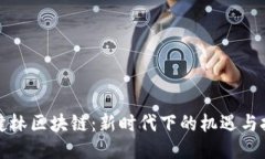 王健林区块链：新时代下的机遇与挑战