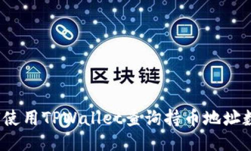 如何使用TPWallet查询持币地址数量？