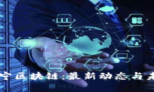 解密苏宁区块链：最新动态与未来展望