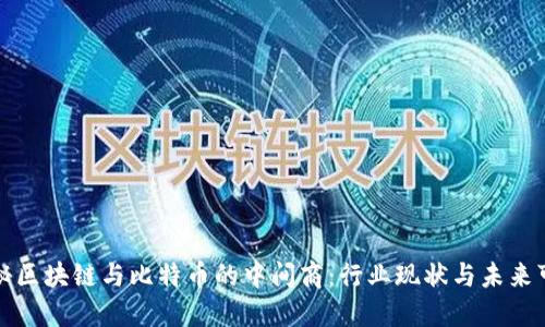 揭秘区块链与比特币的中间商：行业现状与未来可能