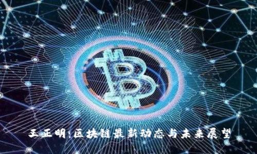 王正明：区块链最新动态与未来展望