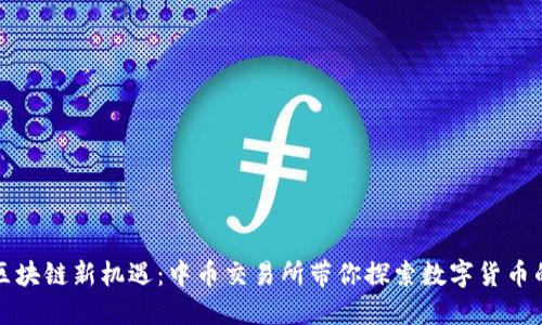 海南区块链新机遇：中币交易所带你探索数字货币的未来