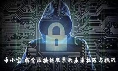 币小宝：探索区块链股票的未来机遇与挑战