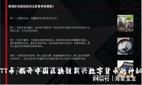 探索TT币：揭开中国区块链新兴数字货币的神秘面纱