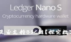 电脑版TPWallet是否支持BSC链？探究数字资产管理的