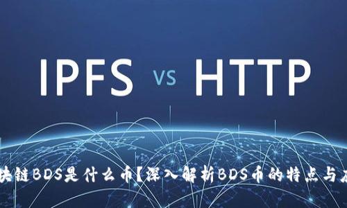 区块链BDS是什么币？深入解析BDS币的特点与应用