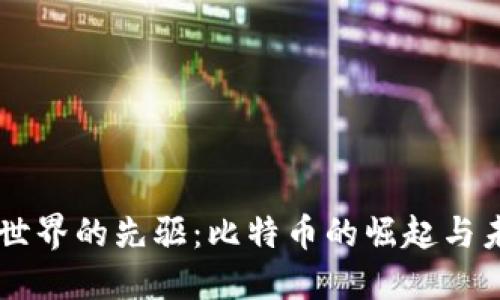 区块链世界的先驱：比特币的崛起与未来展望