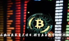 杭州区块链最新重点项目：探索未来数字经济的