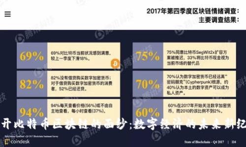 揭开比特币区块链的面纱：数字经济的未来新纪元