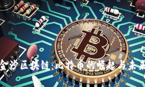 探秘金沙区块链：比特币的崛起与未来前景