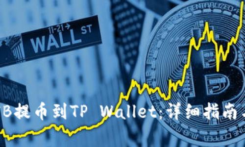 如何将SHIB提币到TP Wallet：详细指南与注意事项