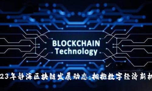 2023年静海区块链发展动态：拥抱数字经济新机遇
