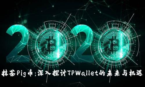 抹茶Pig币：深入探讨TPWallet的未来与机遇