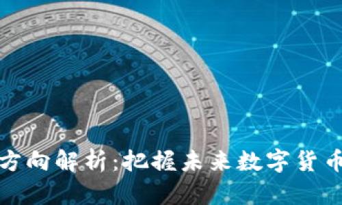区块链币发展方向解析：把握未来数字货币的趋势与机会