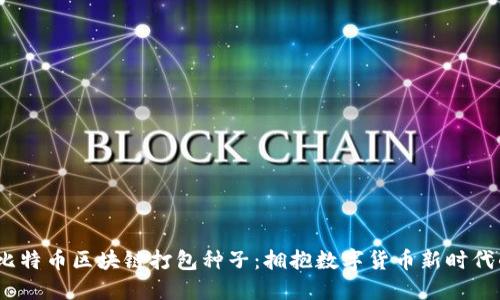 bresotile比特币区块链打包种子：拥抱数字货币新时代的技术革新