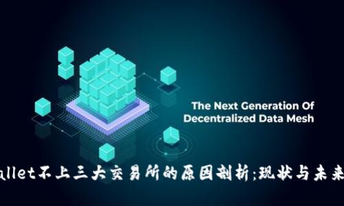 TPWallet不上三大交易所的原因剖析：现状与未来趋势