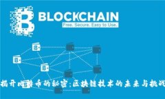 揭开比特币的秘密：区块链技术的未来与挑战