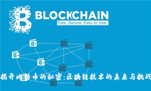 揭开比特币的秘密：区块链技术的未来与挑战