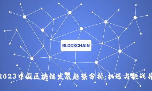 : 2023中国区块链发展趋势分析：机遇与挑战并存