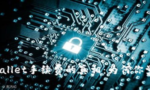 探究TPWallet手续费的真相：为何你觉得它贵？