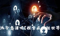 tpwallet加池子靠谱吗？探索区块链世界的投资机会