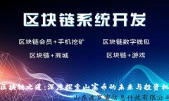 : 区块链之道：深度探索山寨币的未来与投资机会
