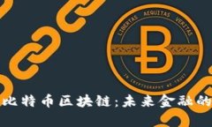 深入解析比特币区块链：未来金融的数字土壤