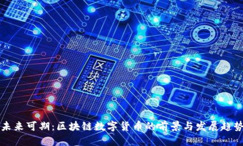 未来可期：区块链数字货币的前景与发展趋势