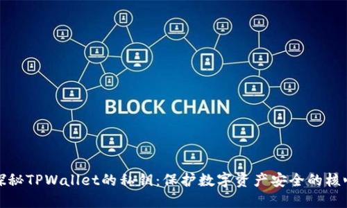 探秘TPWallet的私钥：保护数字资产安全的核心