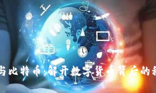区块链与比特币：解开数字货币背后的科技迷雾